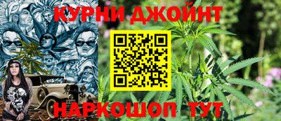 индика Камышлов