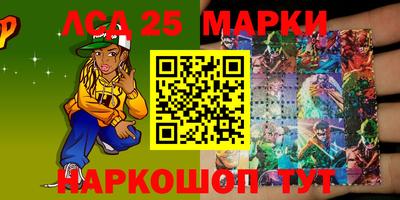 индика Камышлов