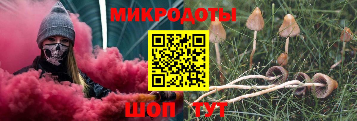 Псилоцибиновые грибы Psilocybe Кунгур