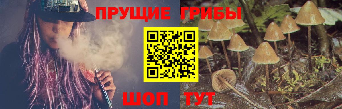Псилоцибиновые грибы мицелий  Псилоцибиновые грибы Psilocybine cubensis  Кунгур  Вход с VPN 
